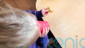 Protect nutrition for children during emergencies – cross-border report