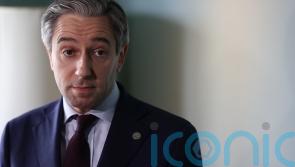 Irish Government &lsquo;willing to consider helping further&rsquo; on Casement, Harris says