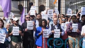 Teenagers behind rise in racist attacks in Ireland &ndash; special rapporteur