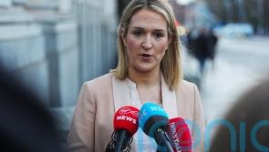 Irish Government agreed on &lsquo;red flags&rsquo; with Donald Trump&rsquo;s Board of Peace