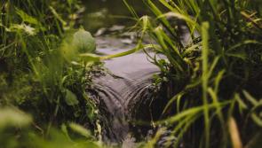 Laois village wins national water quality award