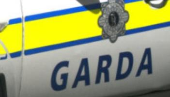 Laois Garda&iacute; issue description of man involved in 'suspicious approach' of young girl