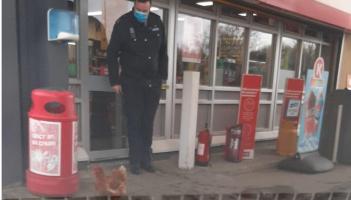 Top ten responses to Laois Gardaí's hen photograph caption callout