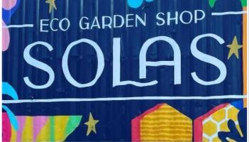 Fun-filled summer at SOLAS: Plant swap and milkshakes