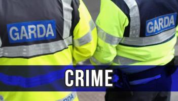 Vehicles in Portlaoise and Portarlington damaged by thieves