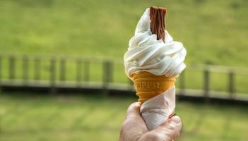 LaoisLive readers! Where are the best 99 ice cream cones to be found in Laois?