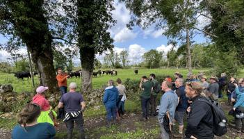 Laois farm hosting Ireland's first Farming For Nature summer festival