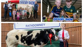 PICTURES: Laois embraces tradition with fun day at Ossory Show