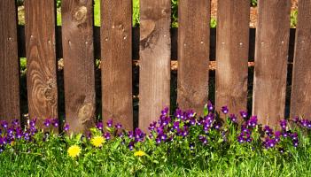 Time running out to enter Laois County Council’s Best Front Garden Competition