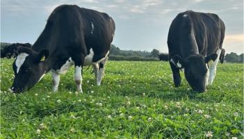 Laois Farmer recognised for sustainable farming at Tullamore Show