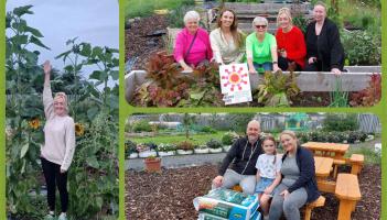 'It's like you're in the country, it's so peaceful' - urban Laois organic allotments