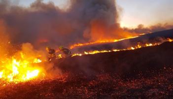 Orange warning issued for forest fire danger in Laois