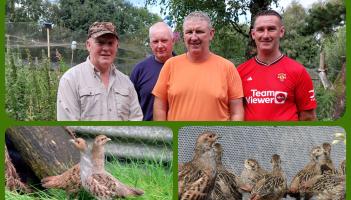 Laois gun club turns nature conservationist to save rare Irish bird