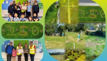 In Pictures: Marriage of nature of art rewarded in Laois by Abbeyleix Tidy Towns