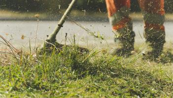 Laois Tidy Towns group 'struggling' with upkeep of village greens