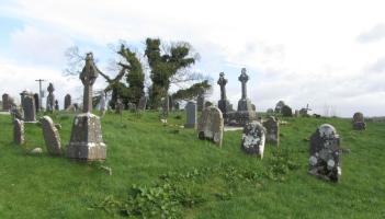 Laois graveyard 'urgently needs overgrowth removed' says Councillor