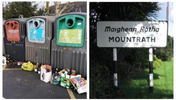 Council faces 'opposition everywhere' to proposed bottle banks in Laois town