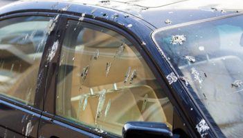 Council seeks tree pruning quotes to curtail 'bird droppings' on cars in Laois
