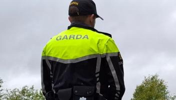 Laois crime