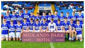 Phelan to the fore as Castletown win back-to-back Laois GAA MHC titles