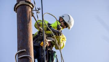 Major blackout: 700 Laois homes without power as vehicle knocks ESB pole
