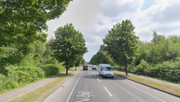 Call to remove trees along Laois road