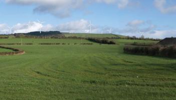 Laois group takes Coillte windfarm plan to European Court again