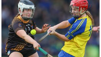 Heartbreak for St Lazarian’s Abbeyleix as Dunboyne crowned Leinster Club Junior Camogie champions