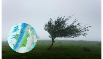 Strong gale force winds on the way as two counties hit with weather warnings