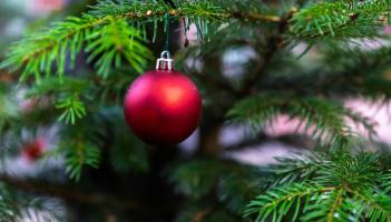 Portlaoise Lions to roar into action helping others this Christmas in Laois