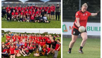 Laois GAA club seeks permission for new walking track and spectator fence