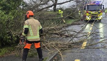 Storm Bram: More Laois homes lose power with trees falling on roads
