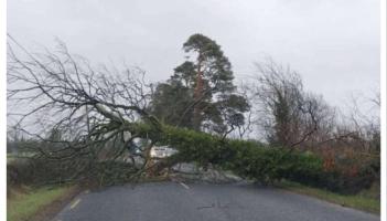 LIVE: Laois hit with widespread disruptions as Storm Bram rips through country