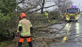 Revealed: Full extent of Storm Bram damage across Laois