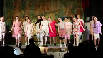 Ready to take to the stage? Beloved Laois panto on the hunt for new members