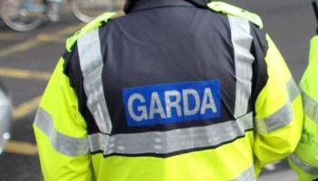 Appeal as car stolen after house ransacked in Laois burglary