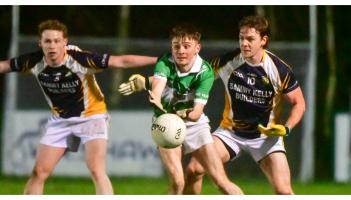 Crettyard finish strongly to take the points in Rosenallis