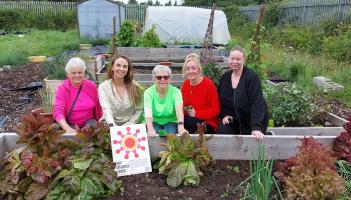 Green light as Portlaoise school offers to share site with new allotments