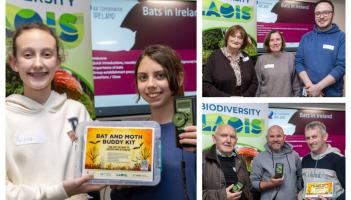 PICTURES: Laois nature enthusiasts gather for county's first ever Bat Group