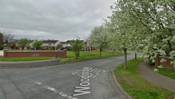 'Capping literally cleaved off' wall damage in Laois housing estate