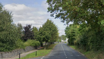 Laois County Council to begin removing trees along road amid safety concerns