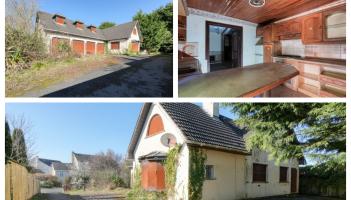 PICTURES: Abandoned boarded up Portlaoise home to be sold by auction