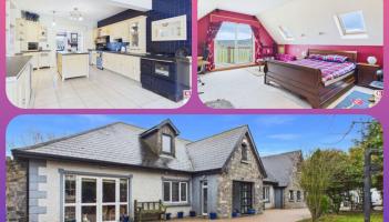 PROPERTY: Stunning family home on three acre site hits the market in Laois