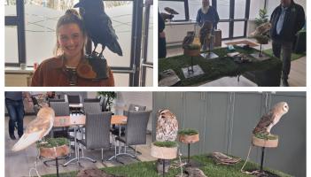 Look 'hoo' dropped in! Delight in Laois as 'TV star' visit Portlaoise caf&eacute; event