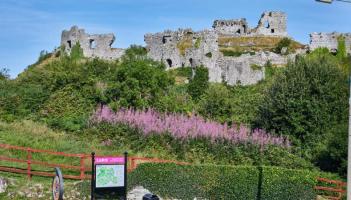 Laois motorist left scene of accident near tourist attraction