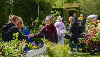 Food, art, gardening and more at Ballintubbert House festival in Laois