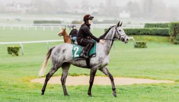 Laois vet student rides out for Willie Mullins stables at Cheltenham