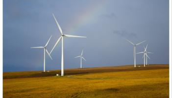 'We can't depend on Trump and the boys' - Laois TD pushes for energy self-sufficiency