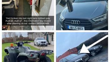 Dog drugged as armed raiders steal over &euro;100,000 in vehicles from Laois family business