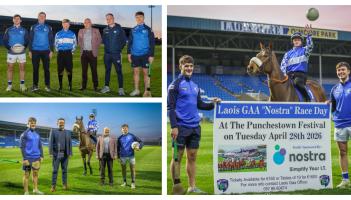 Annual Laois GAA Race Day set for Punchestown Festival return